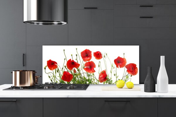 Sklenený obklad Do kuchyne Maky kvety príroda 125x50 cm