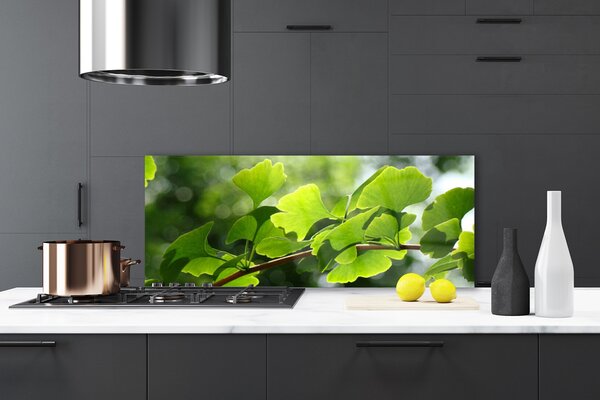 Sklenený obklad Do kuchyne Vetvy listy príroda strom 125x50 cm