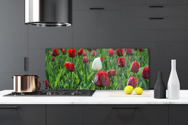 Sklenený obklad Do kuchyne Tulipány kvety príroda 125x50 cm