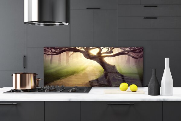 Sklenený obklad Do kuchyne Strom lúče slnko 125x50 cm