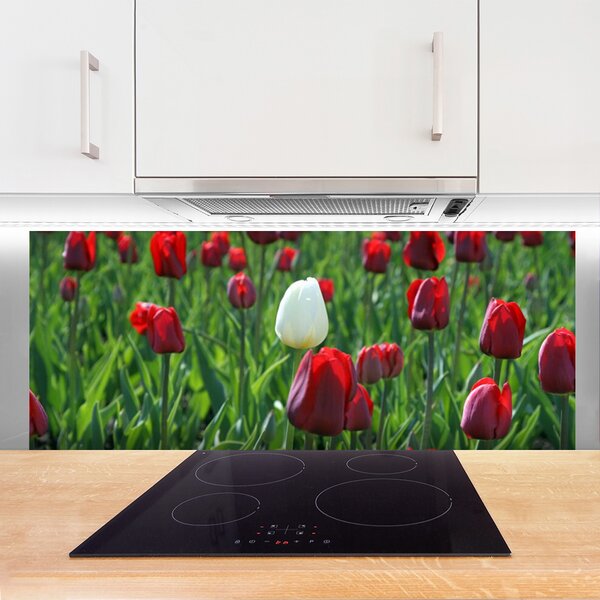 Sklenený obklad Do kuchyne Tulipány kvety príroda 125x50 cm