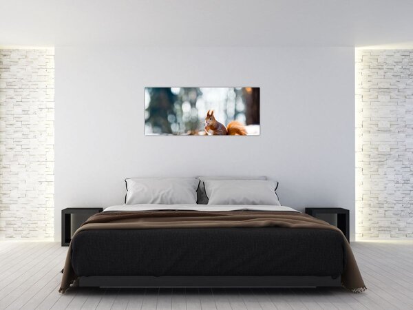 Obraz - Veverička (120x50 cm)