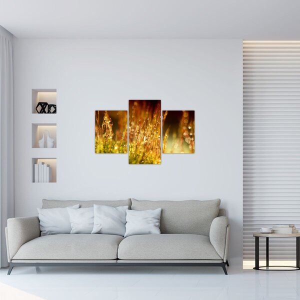 Obraz - Detail rosy (90x60 cm)