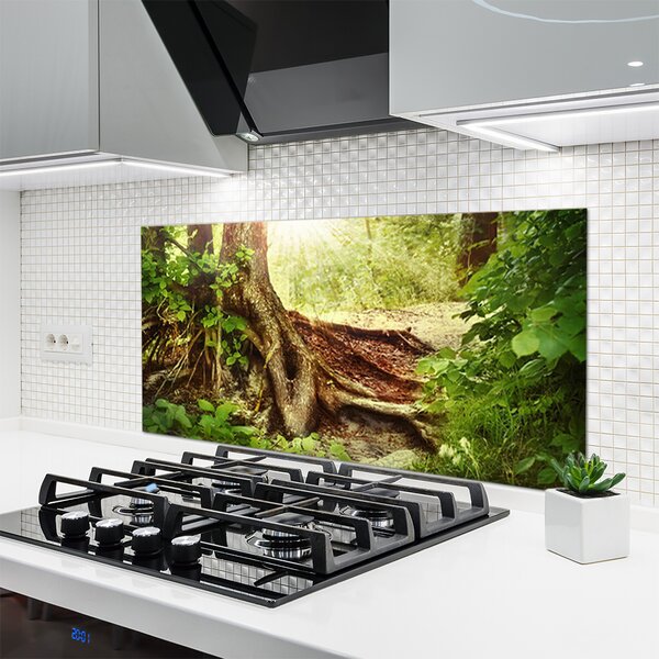 Sklenený obklad Do kuchyne Strom kmeň príroda les 120x60 cm