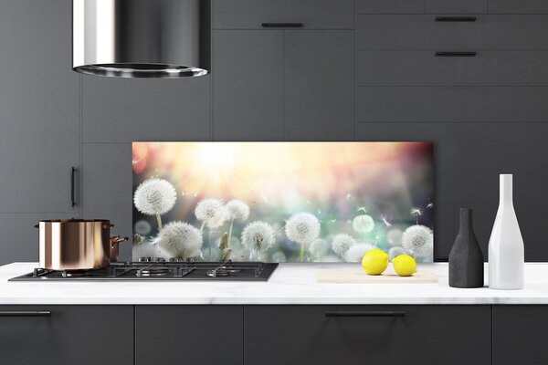 Sklenený obklad Do kuchyne Púpavy kvety príroda 125x50 cm