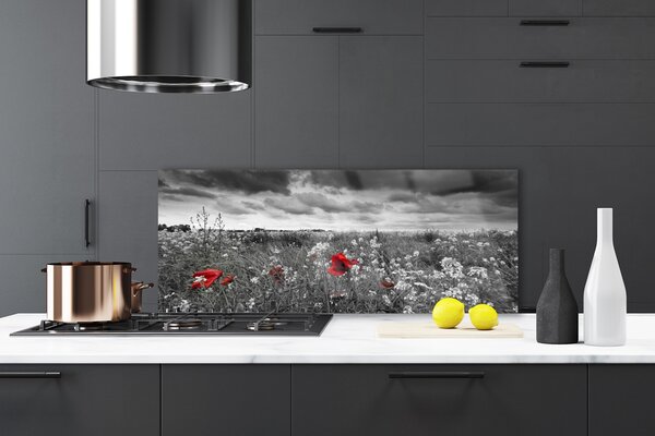 Sklenený obklad Do kuchyne Lúka kvety príroda 125x50 cm