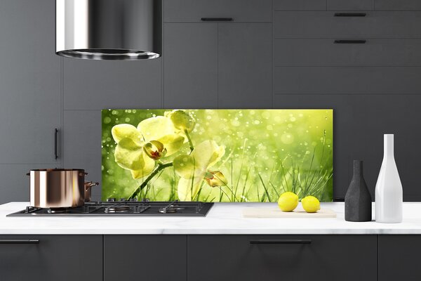 Sklenený obklad Do kuchyne Tráva príroda rastlina 125x50 cm