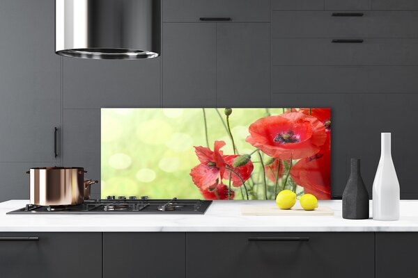 Sklenený obklad Do kuchyne Maky kvety príroda 125x50 cm