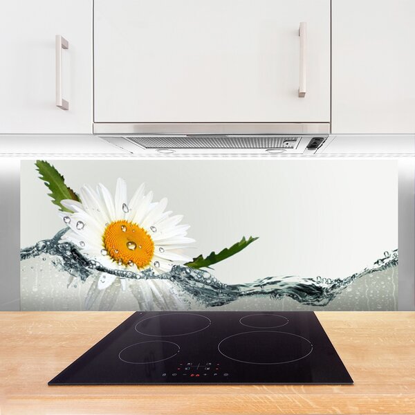 Sklenený obklad Do kuchyne Sedmokráska vo vode 125x50 cm