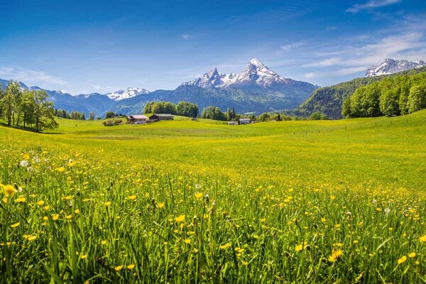 DIMEX | Vliesové fototapety na stenu Idylický pohľad na Alpy MS-5-1714 | 375 x 250 cm | zelená, modrá, šedá