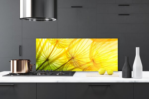 Sklenený obklad Do kuchyne Púpavy kvety príroda 125x50 cm