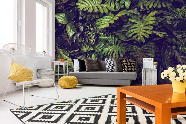 DIMEX | Vliesové fototapety na stenu Monstera listy MS-5-1602 | 375 x 250 cm | zelená, čierna, hnedá
