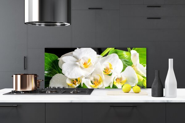 Sklenený obklad Do kuchyne Orchidea kvety príroda 125x50 cm