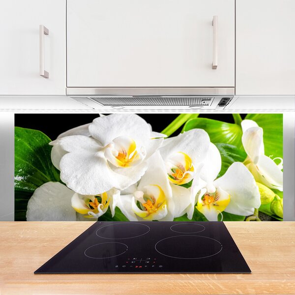 Sklenený obklad Do kuchyne Orchidea kvety príroda 125x50 cm