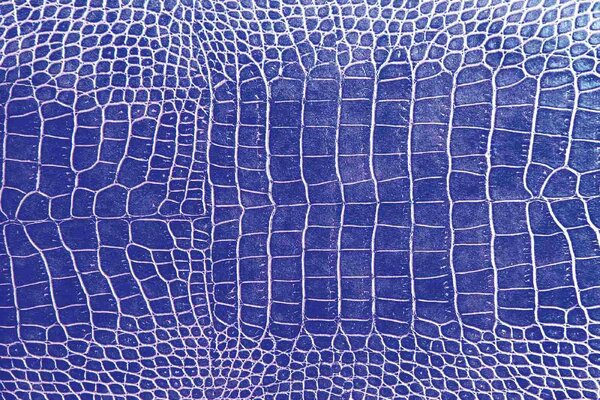 DIMEX | Vliesové fototapety na stenu Krokodília koža MS-5-2581 | 375 x 250 cm | modrá, biela