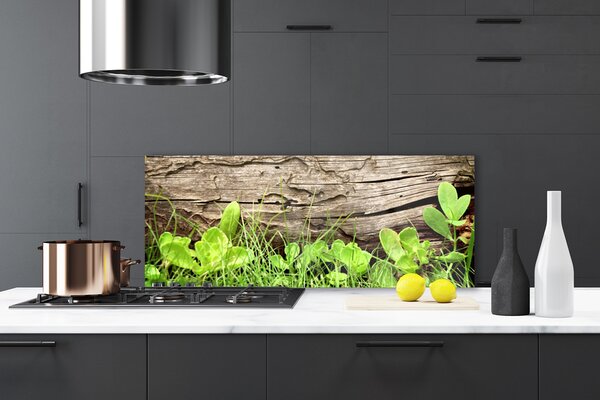 Sklenený obklad Do kuchyne Tráva listy kvety 125x50 cm