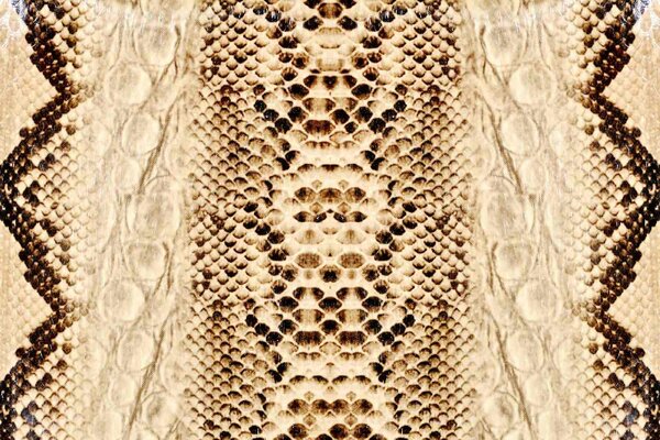 DIMEX | Vliesové fototapety na stenu Koža hada MS-5-2582 | 375 x 250 cm | béžová, čierna, hnedá