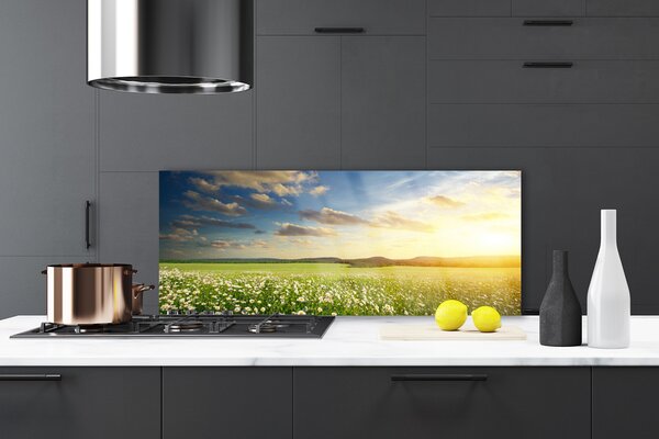 Sklenený obklad Do kuchyne Lúka kvety príroda 125x50 cm