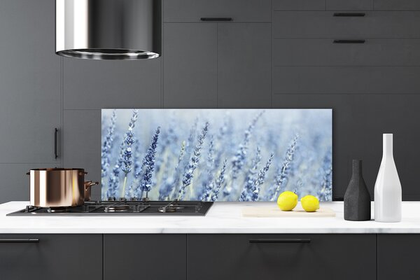 Sklenený obklad Do kuchyne Kvety klasy lúka príroda 125x50 cm