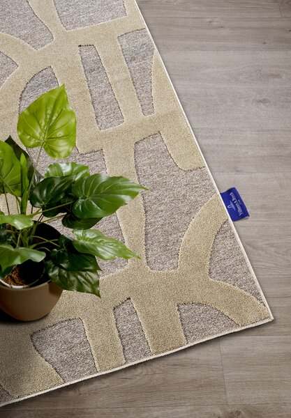 Villeroy & Boch , Kusový koberec 106142 Grey, Beige, 160x230, béžová, obývacia izba