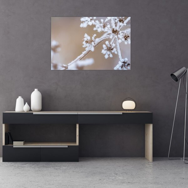 Obraz - Mráz (90x60 cm)
