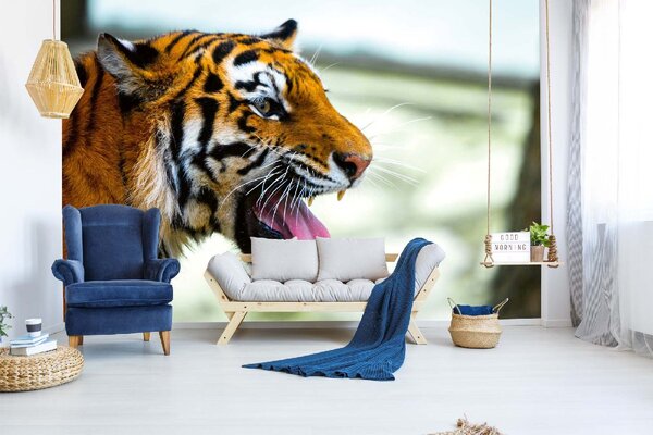 DIMEX | Vliesové fototapety na stenu Tiger ussurijský MS-5-0562 | 375 x 250 cm | biela, oranžová, hnedá