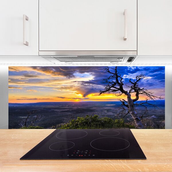 Sklenený obklad Do kuchyne Strom zápas slnko 125x50 cm