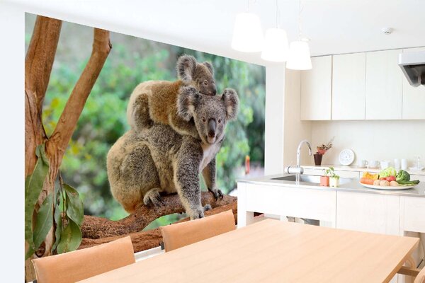 DIMEX | Vliesové fototapety na stenu Koala s mláďaťom MS-5-0626 | 375 x 250 cm | zelená, hnedá, šedá