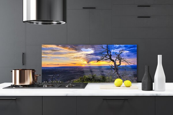 Sklenený obklad Do kuchyne Strom zápas slnko 125x50 cm