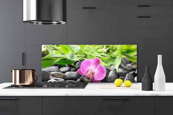 Sklenený obklad Do kuchyne Kvety orchidea kamene zen 125x50 cm