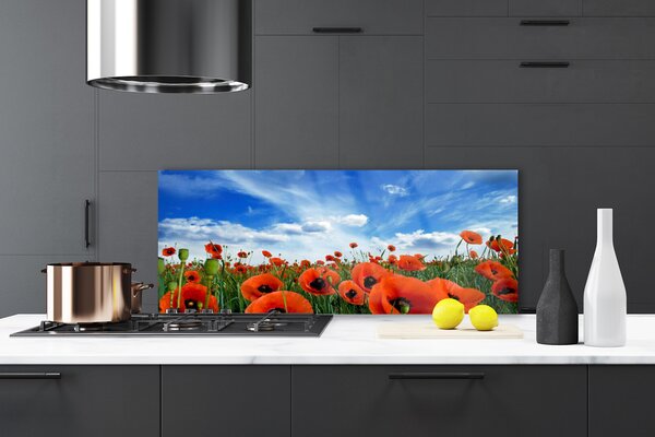 Sklenený obklad Do kuchyne Lúka maky kvety 125x50 cm