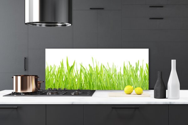 Sklenený obklad Do kuchyne Tráva príroda rastlina 125x50 cm