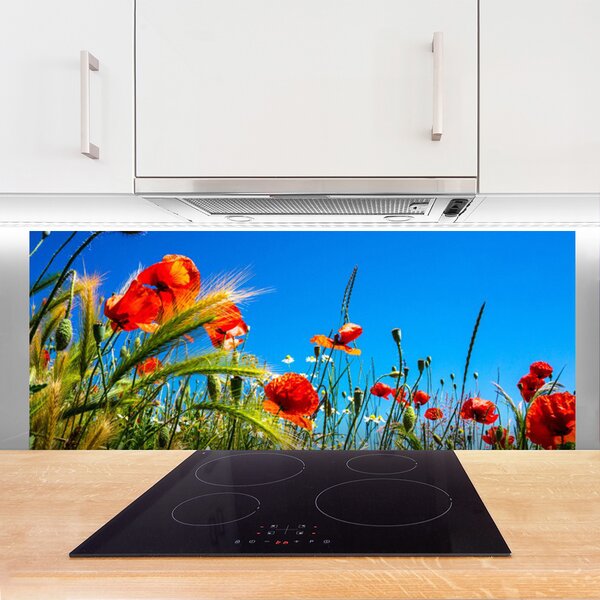Sklenený obklad Do kuchyne Kvety maky pole trávy 125x50 cm