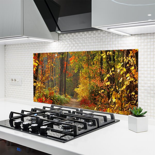 Sklenený obklad Do kuchyne Les príroda jeseň 120x60 cm