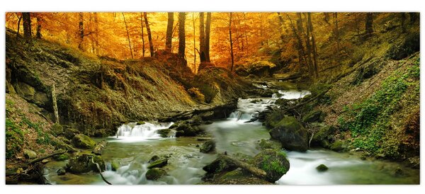 Obraz - Les (120x50 cm)