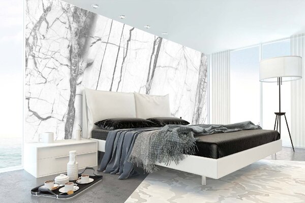 DIMEX | Vliesové fototapety na stenu Biely mramorový vzor MS-5-2487 | 375 x 250 cm | biela, šedá