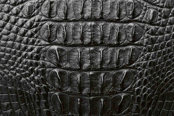 DIMEX | Vliesové fototapety na stenu Tmavá krokodília koža MS-5-2583 | 375 x 250 cm | čierna, šedá