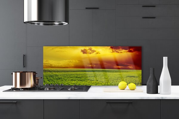 Sklenený obklad Do kuchyne Pole príroda 125x50 cm
