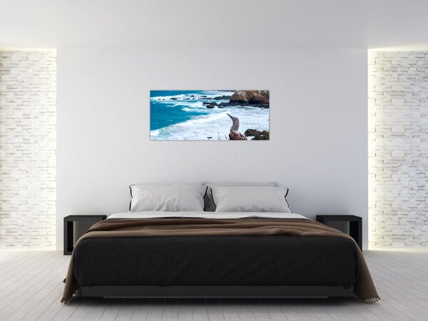 Obraz - Sula modronohá (120x50 cm)