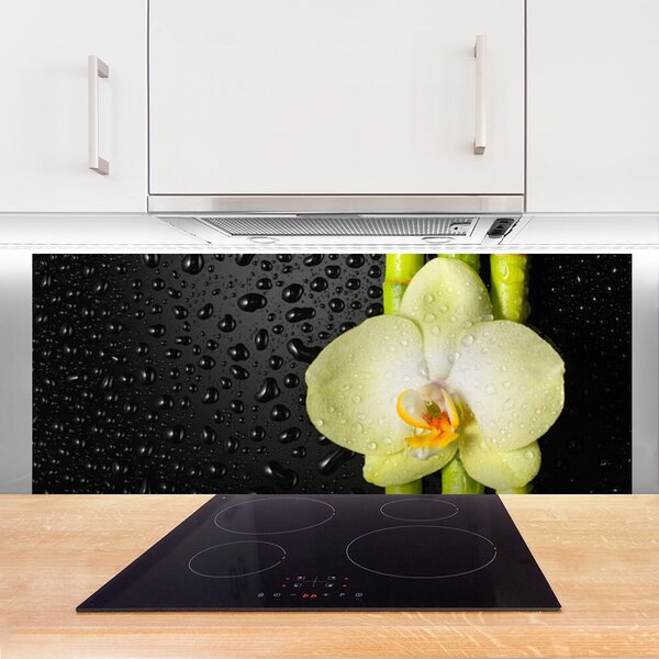 Sklenený obklad Do kuchyne Bambus kvet orchidea 125x50 cm