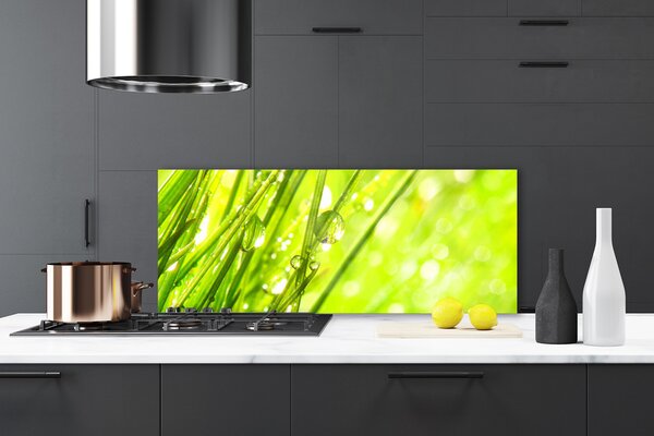 Sklenený obklad Do kuchyne Príroda kvapky tráva 125x50 cm