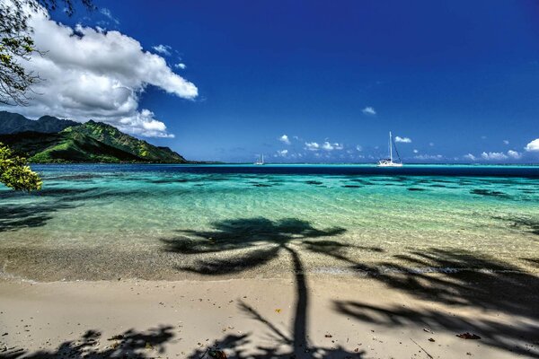 DIMEX | Vliesové fototapety na stenu Moorea Beach MS-5-3221 | 375 x 250 cm | zelená, modrá, žltá