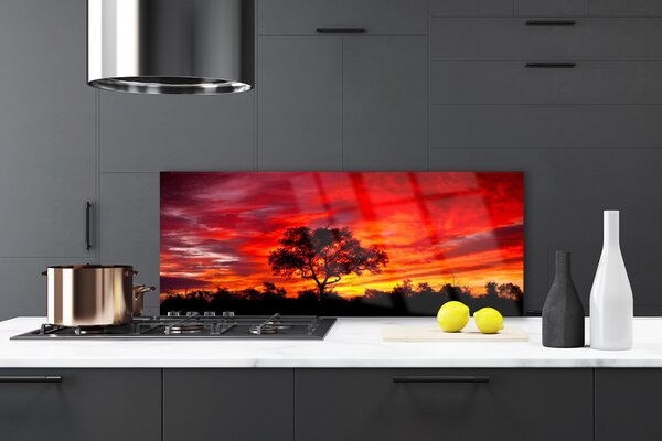 Sklenený obklad Do kuchyne Les príroda príroda 125x50 cm