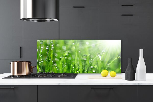 Sklenený obklad Do kuchyne Príroda tráva kvapky 125x50 cm