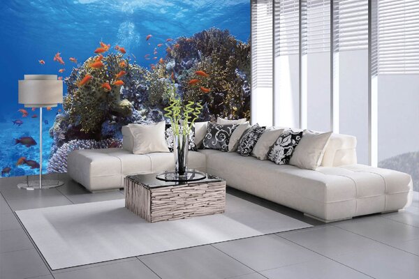 Samolepiaca vliesová fototapeta Kŕdeľ červených rýb 375 x 250 cm