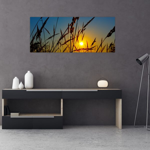 Obraz - Západ slnka v lúke (120x50 cm)