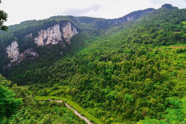 DIMEX | Vliesové fototapety na stenu Wulong, Čína MS-5-1203 | 375 x 250 cm | zelená, hnedá