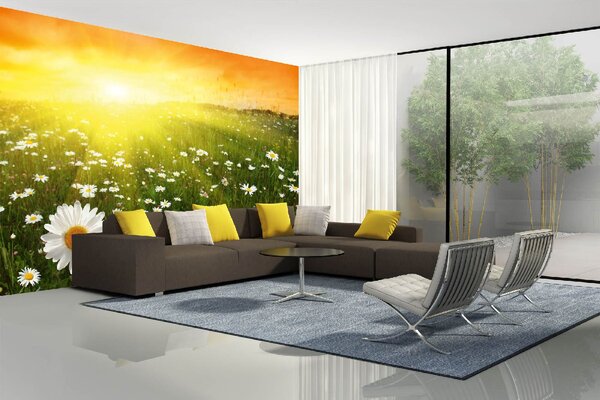 DIMEX | Vliesové fototapety na stenu Pole pri západe slnka MS-5-1331 | 375 x 250 cm | zelená, biela, žltá