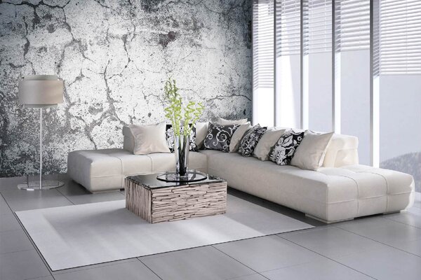 DIMEX | Vliesové fototapety na stenu Zvetrané pozadie MS-5-2440 | 375 x 250 cm | biela, šedá