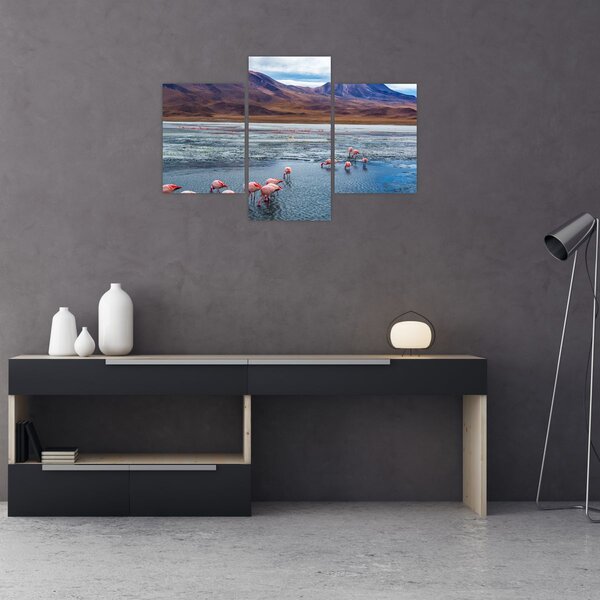 Obraz - Plameniaky (90x60 cm)